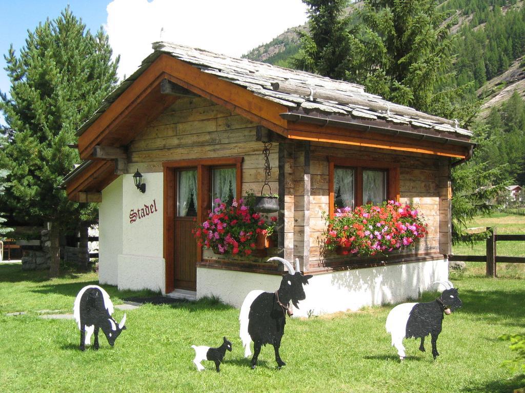Haus Alpenstern Leilighet Saas-Grund Rom bilde