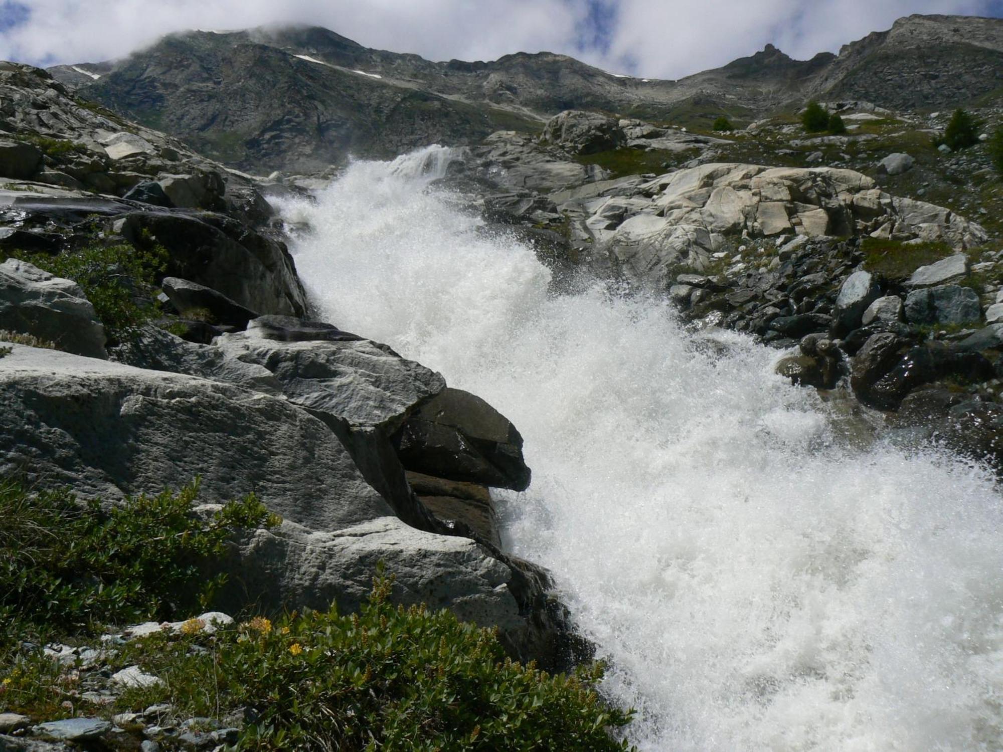 Haus Alpenstern Leilighet Saas-Grund Rom bilde