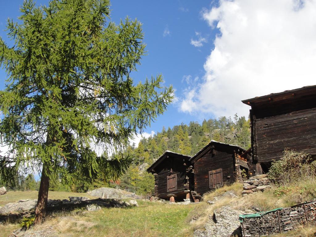 Haus Alpenstern Leilighet Saas-Grund Eksteriør bilde