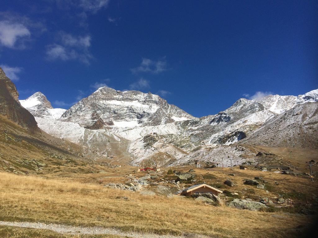 Haus Alpenstern Leilighet Saas-Grund Eksteriør bilde