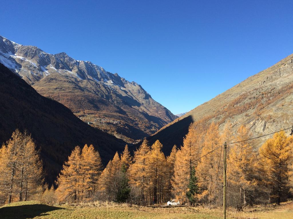 Haus Alpenstern Leilighet Saas-Grund Eksteriør bilde