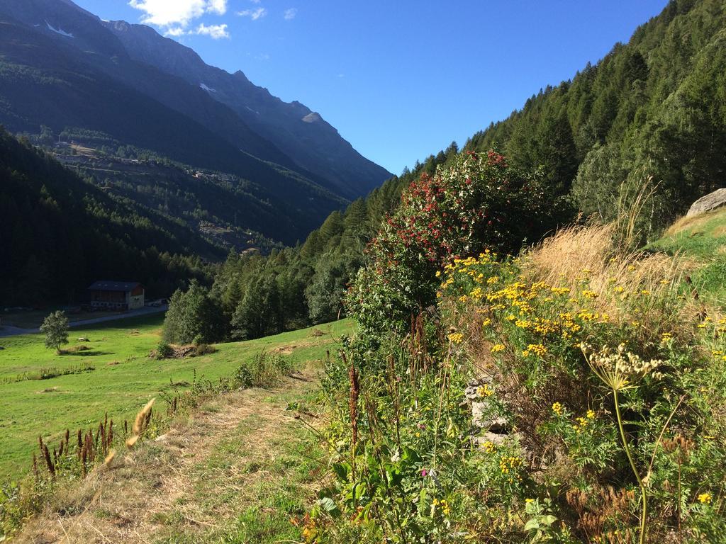 Haus Alpenstern Leilighet Saas-Grund Eksteriør bilde