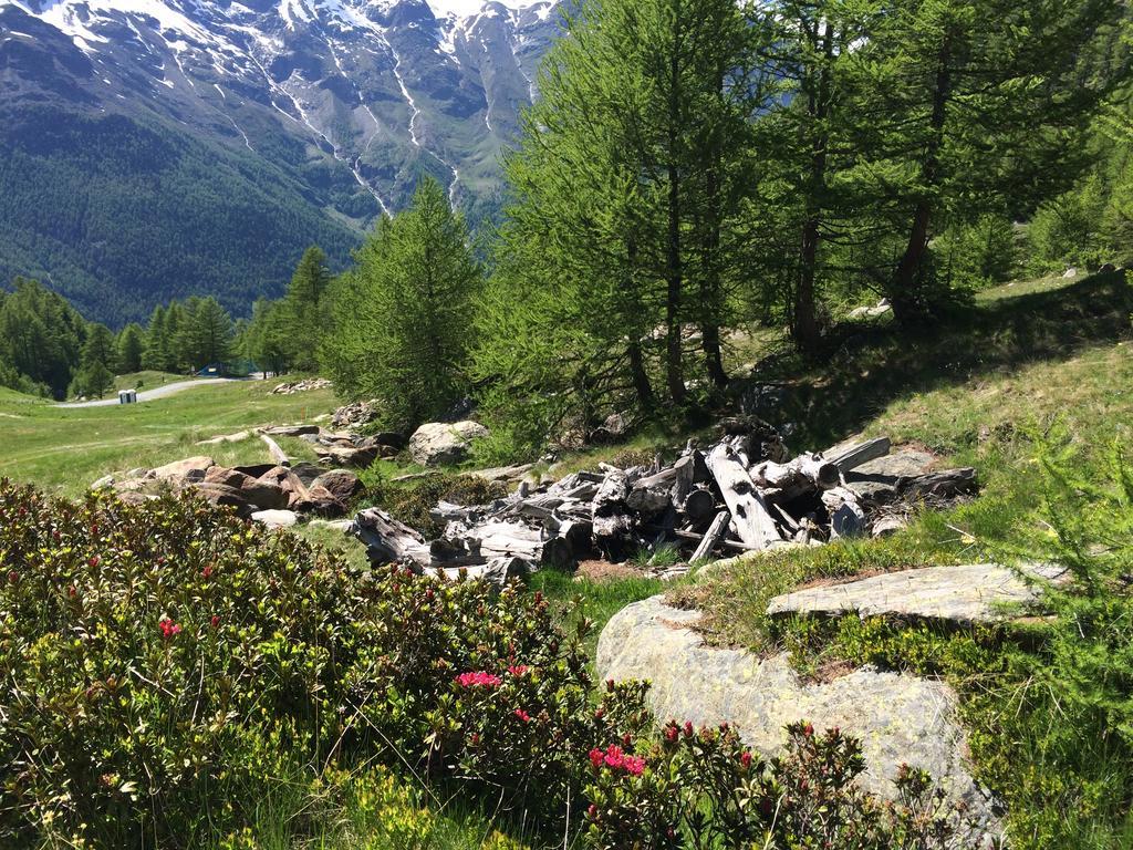 Haus Alpenstern Leilighet Saas-Grund Eksteriør bilde